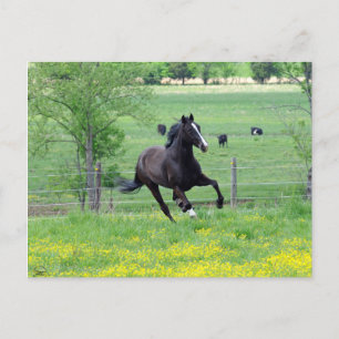 Postal Walker de primavera