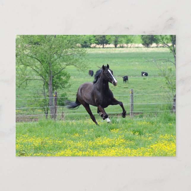 Postal Walker de primavera (Anverso)