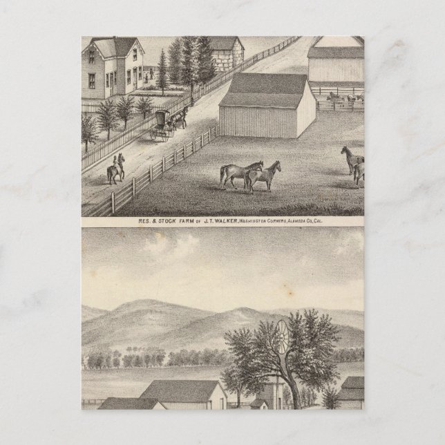 Postal Walker, residencias de Knittel, granjas (Anverso)