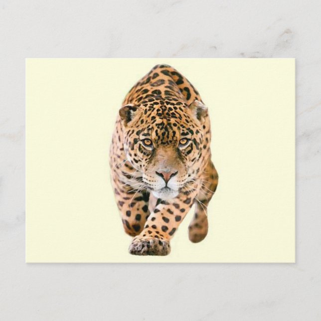 Postal Walking Jaguar Eyes (Anverso)