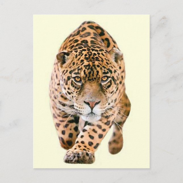 Postal Walking Jaguar Eyes (Anverso)