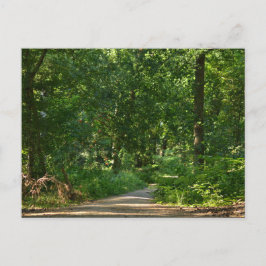 Postal Walking through the trees