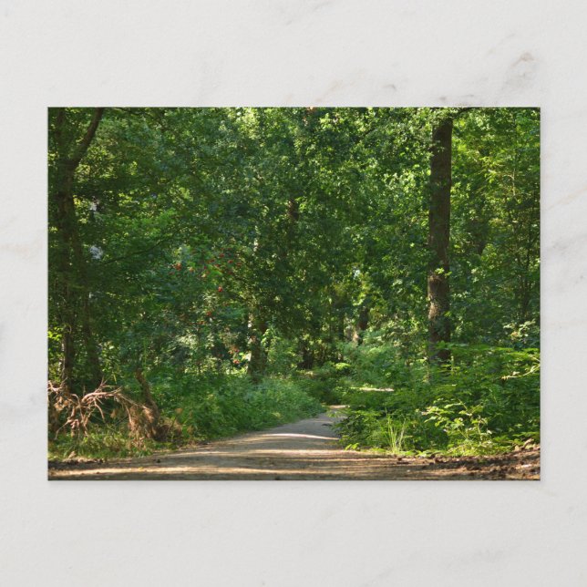 Postal Walking through the trees (Anverso)