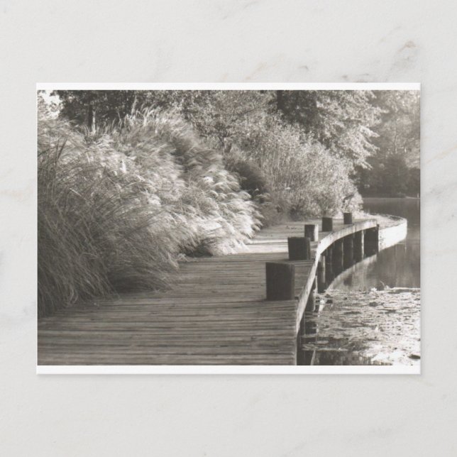 Postal walkway.jpg (Anverso)