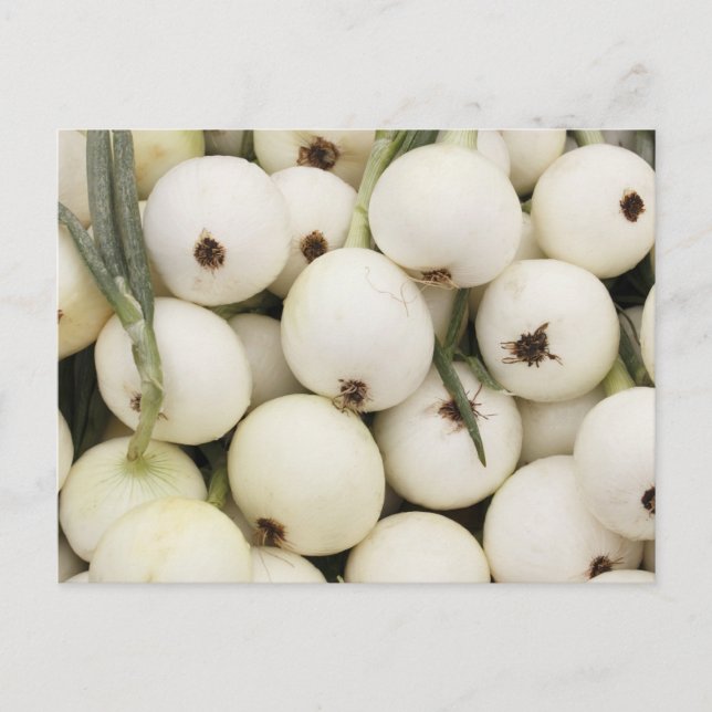 Postal Walla Walla Sweet Onions (Anverso)