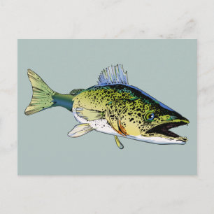 Postal Walleye
