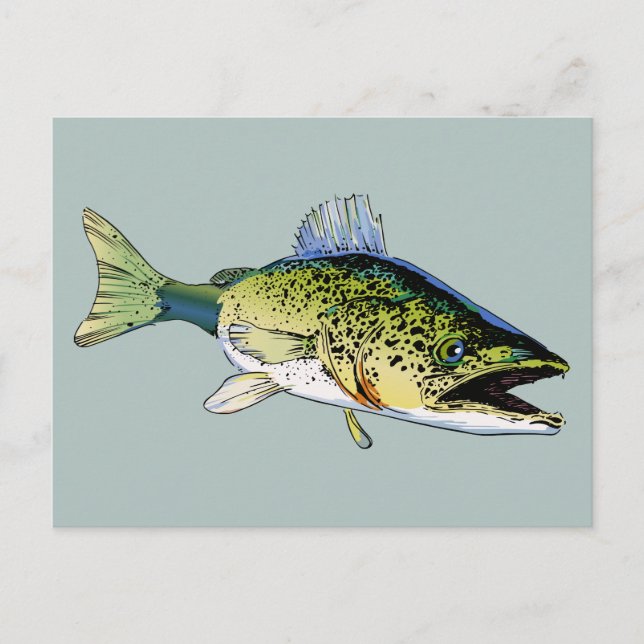 Postal Walleye (Anverso)