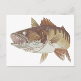 Postal Walleye