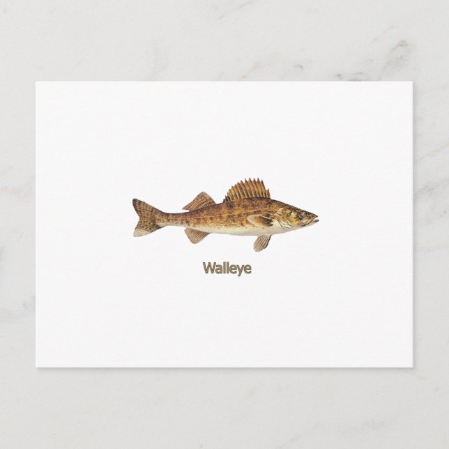 Postal Walleye Art (Anverso)
