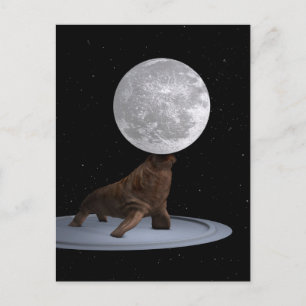 Postal Walrus Balanceando La Luna