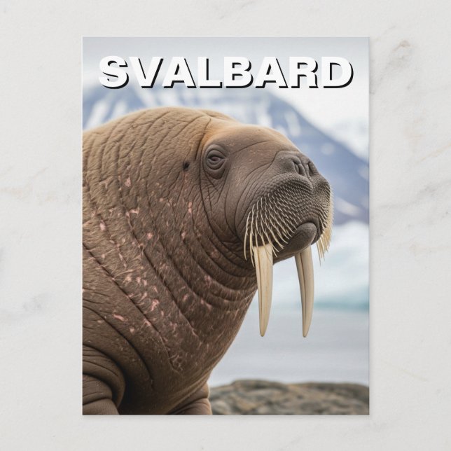 Postal Walrus en Svalbard Noruega (Anverso)