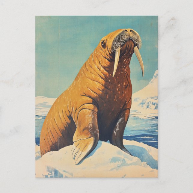 Postal Walrus vintage (Anverso)