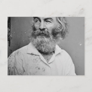 Postal Walt Whitman