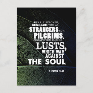 Postal War against the soul