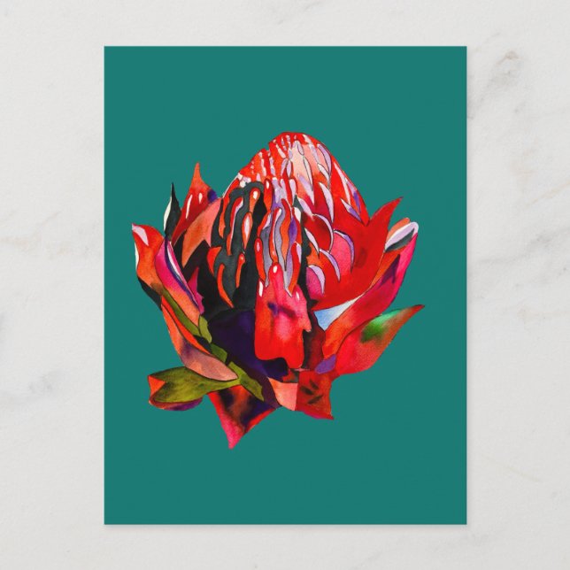 Postal Waratah Flor acuática australiana (Anverso)