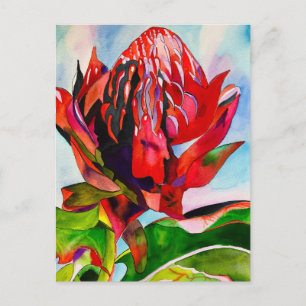 Postal Waratah Flor acuática nativa australiana