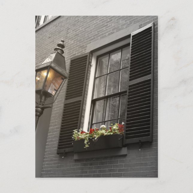 Postal Warmth (Anverso)