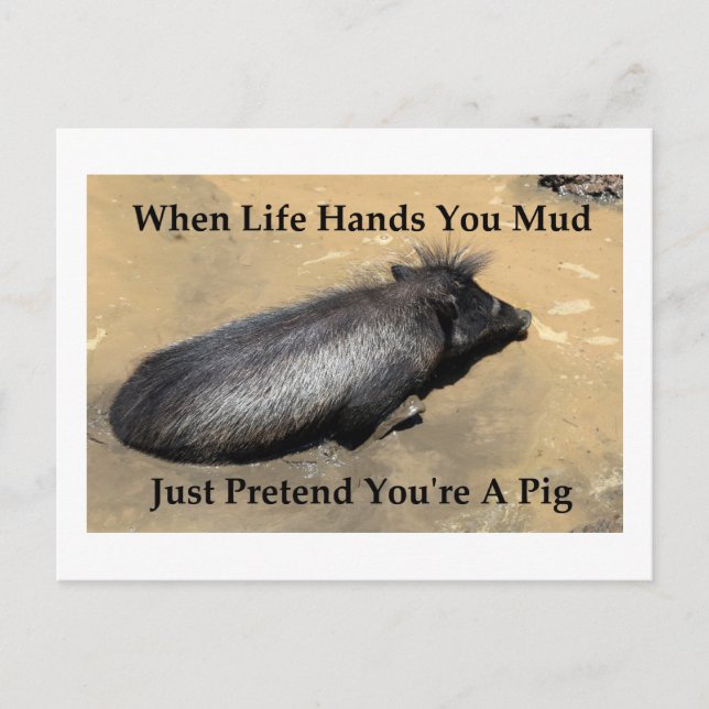 Postal Warthog Picture con la frase "cuando la vida te da (Anverso)