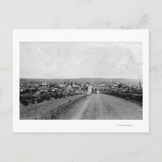 Postal Wasco, Oregon Birds View Photography (Anverso)