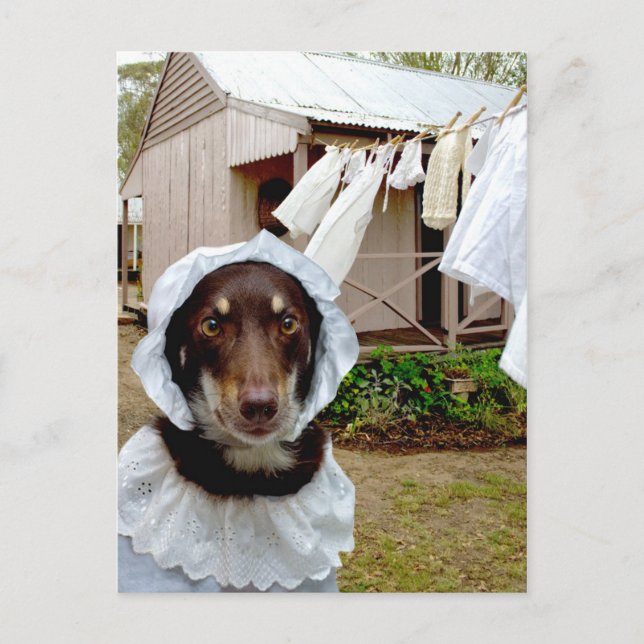 Postal Washerwoman (Anverso)