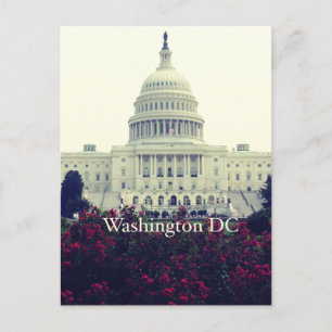 Postal Washington DC