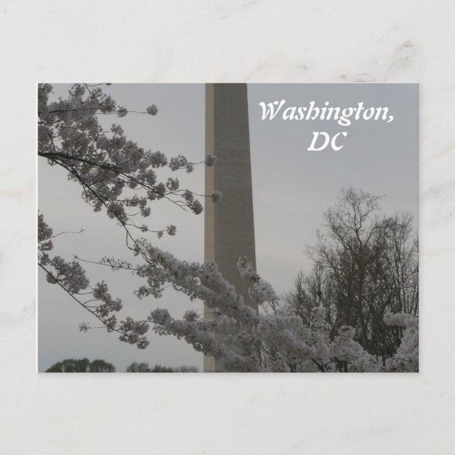 Postal Washington, DC (Anverso)