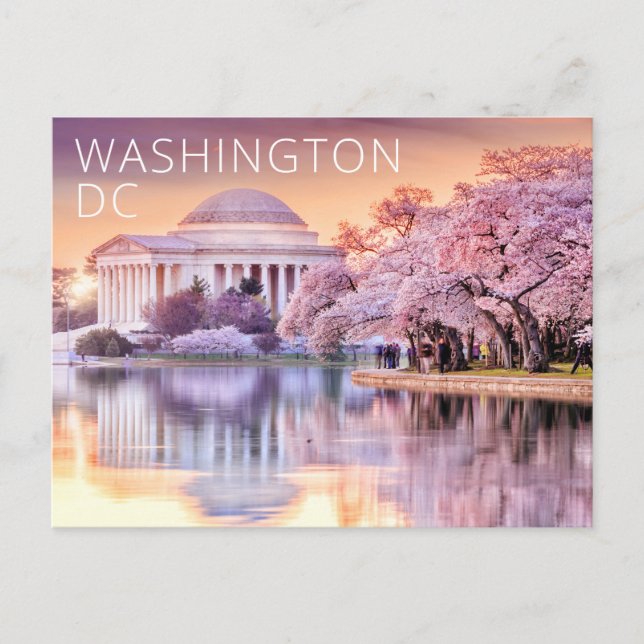 Postal Washington DC Jefferson Memorial Cherry Blossoms (Anverso)