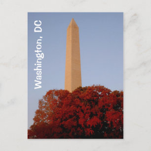 Postal Washington, DC:  Monumento a Washington en otoño