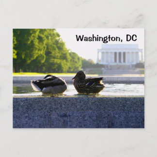 Postal Washington, DC: Patos en el monumento a la Segunda