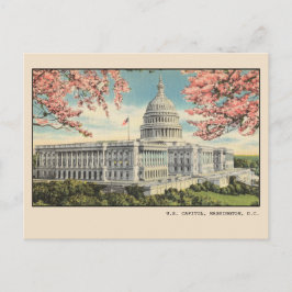 Postal Washington DC Postcard US Capitol Cherry Blossoms