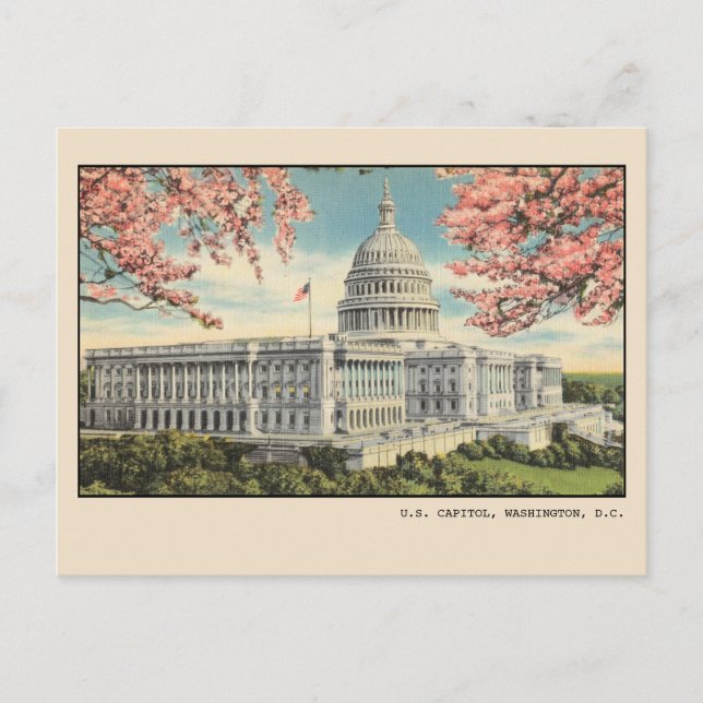 Postal Washington DC Postcard US Capitol Cherry Blossoms (Anverso)