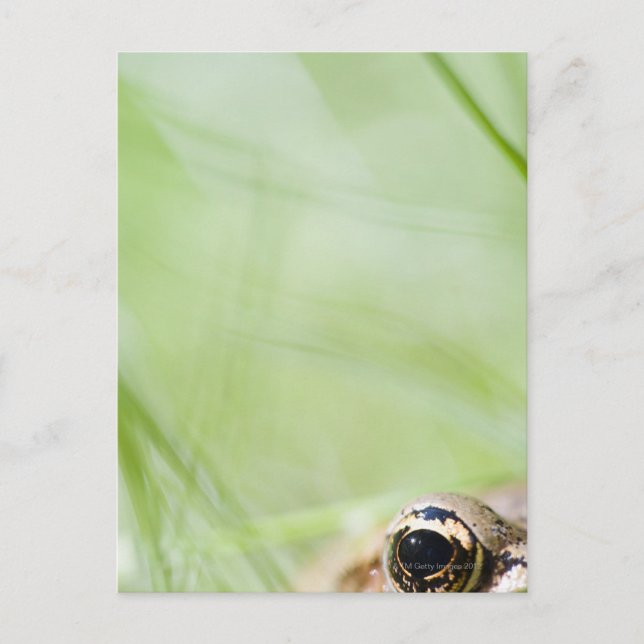 Postal Washington, EE. UU. (Anverso)