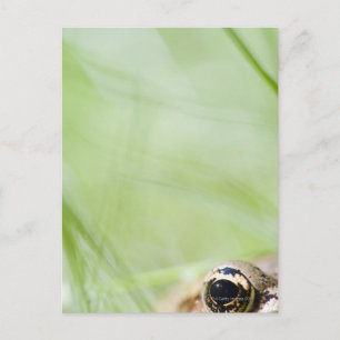 Postal Washington, EE. UU.