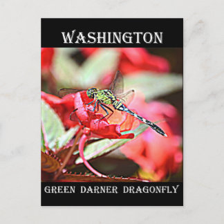 Postal Washington Green Darner Dragonfly