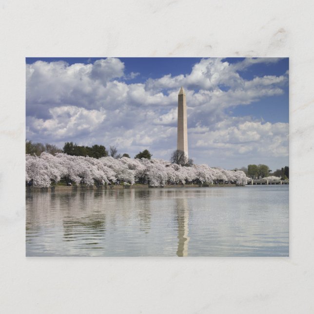 POSTAL WASHINGTON MONUMENTO LITHOGRAPH (Anverso)