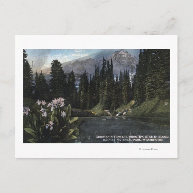 Postal Washington - Parque Nacional Rainier, Estado de lo (Anverso)