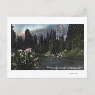 Postal Washington - Parque Nacional Rainier, Estado de lo