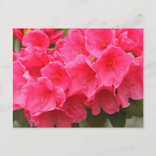 Postal Washington, Seattle, Puget Sound, Discovery Park