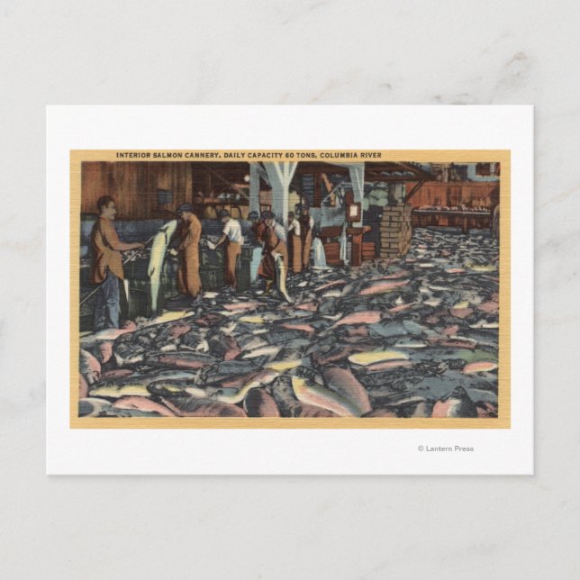 Postal Washington - Vista interior de un Salmón (Anverso)