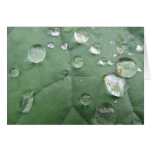 Postal Wassertropfen en hoja graugrünem verde gri