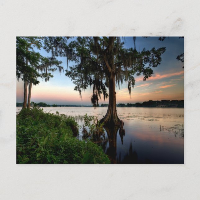 Postal Water | Kraft Azalea Park Maitland Florida (Anverso)