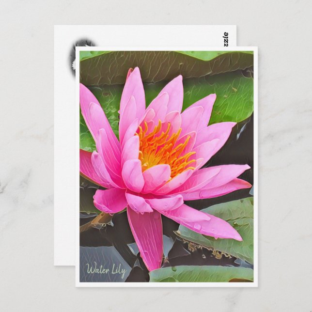 Postal Water Lily ポストカード (Anverso / Reverso)