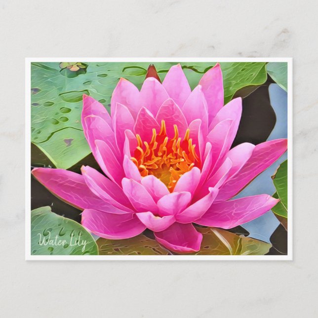 Postal Water Lily ポストカード (Anverso)