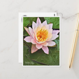 Postal Water Lily ポストカード