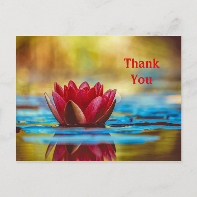 Postal Water Lily Gracias Postcard (Anverso)