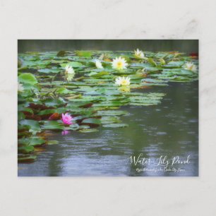 Postal Water-Lily Pond :Postcard