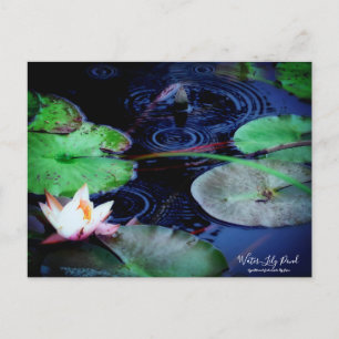 Postal Water-Lily Pond :Postcard