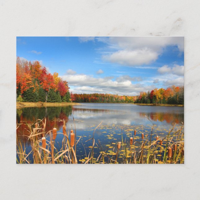 Postal Water | Mabel Lake Canada (Anverso)