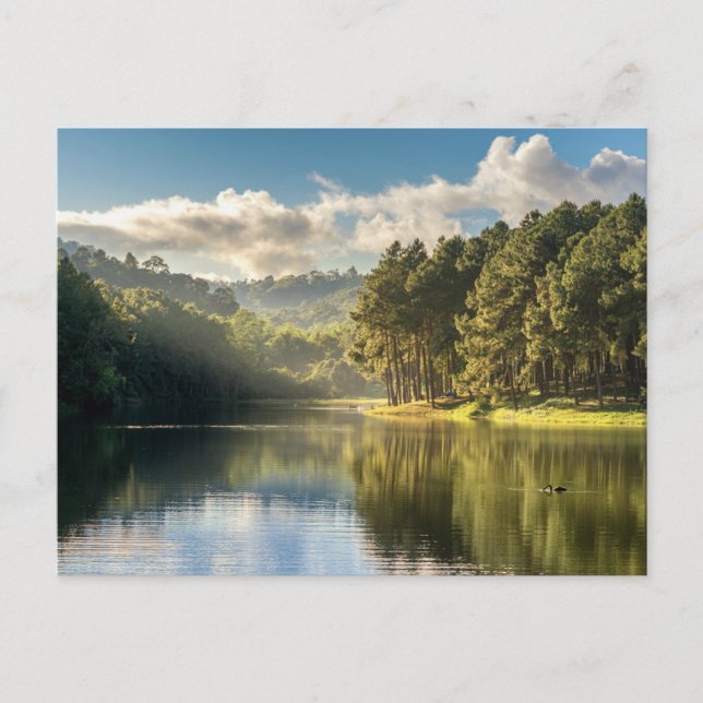 Postal Water | Pang Oung Lake & Pine Forest Thailand (Anverso)