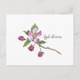 Postal Watercolor Apple Blossom Botanico